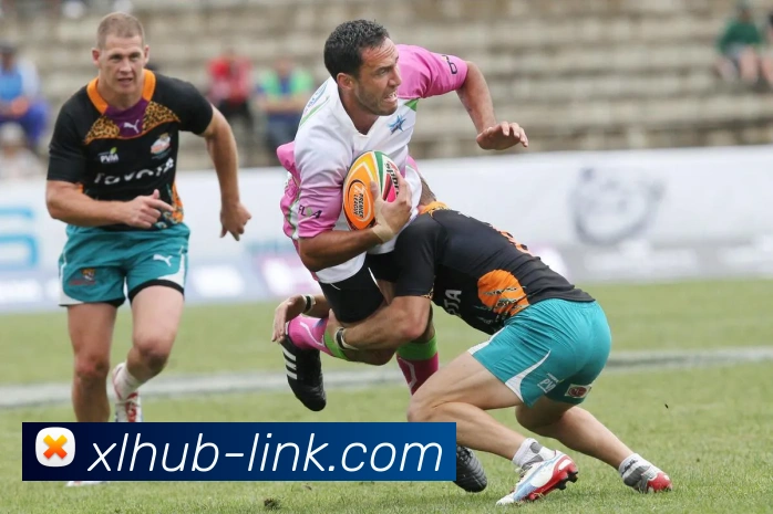 新浪体育官网 | 专注足球、篮球及顶级电竞赛事深度报道门户平台生态图